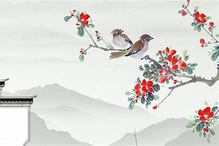 梦见一头水牛一直追我,为什么？