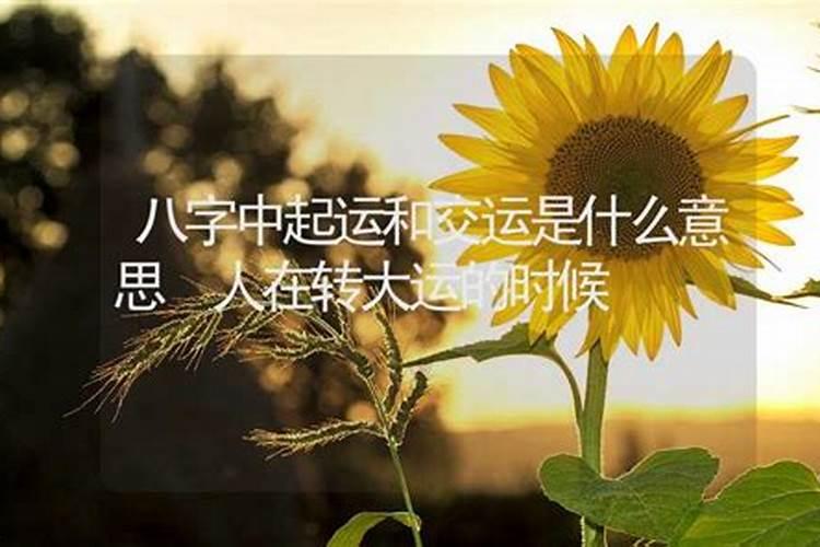 大运年犯太岁命局逢冲,为什么会犯太岁