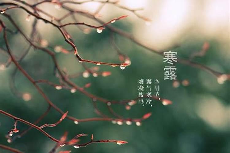 有关土家族的资料。 急!