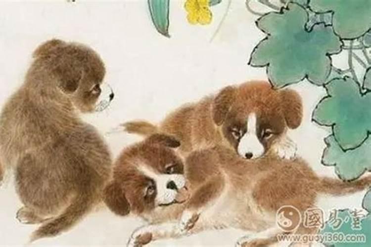 属虎2025年犯太岁怎么化解