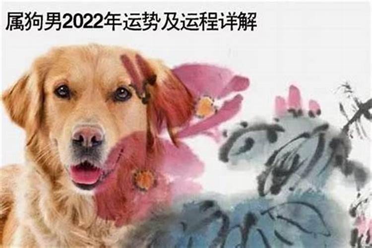 堕胎3次要给婴灵立几个牌位啊？