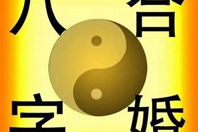 1977年蛇在2026年事业财运感情运势如何？比2025年好一些吗？