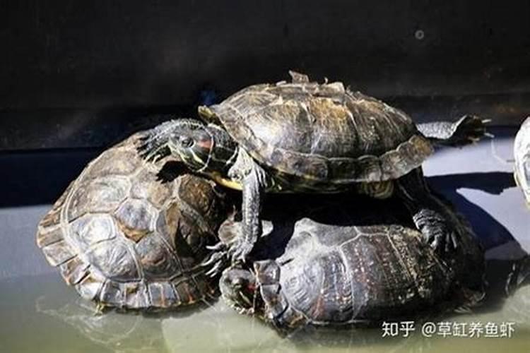 八字中有藏干吗？