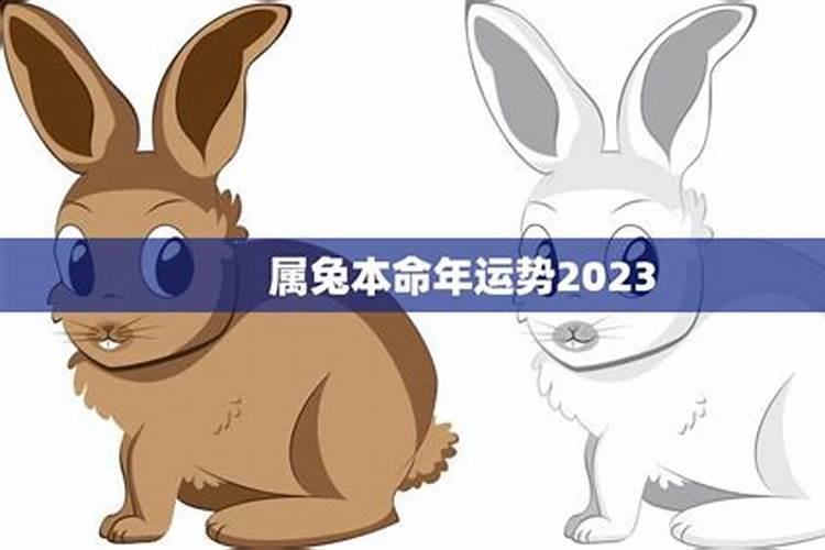 2025年本命年多少岁