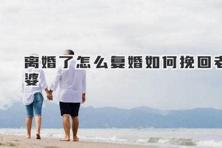 2025属兔的犯太岁吗