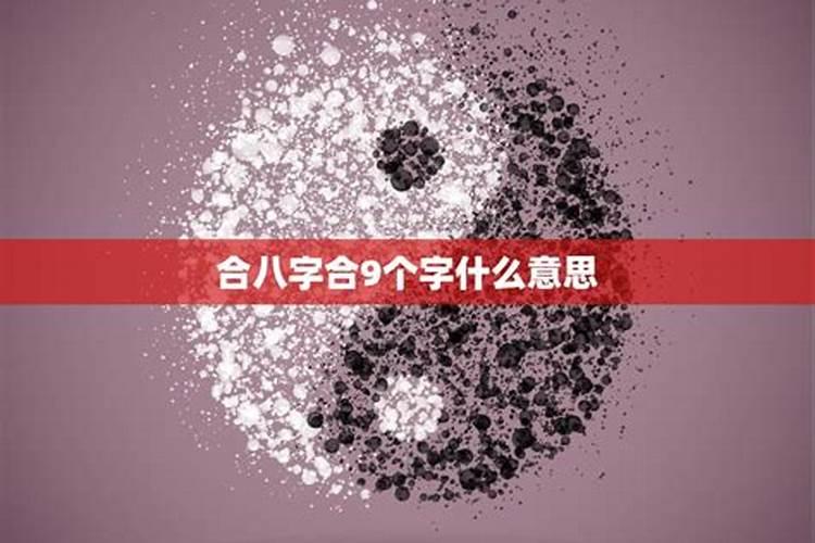 看八字合了7个字说明什么？