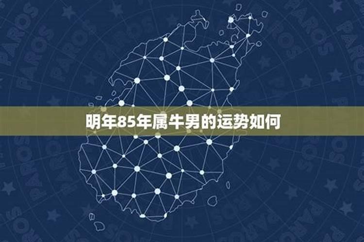 ★8字春节对联,春节对联大全,春节对联集锦