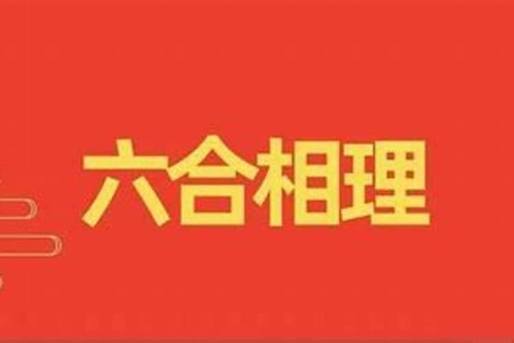 属狗和什么属相最合不来