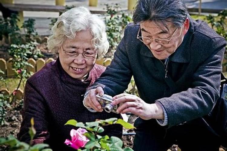 少年贫穷 老年的富贵八字特征？