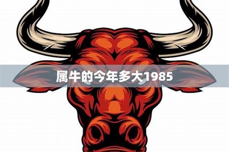 85年属牛 2025年整体运势