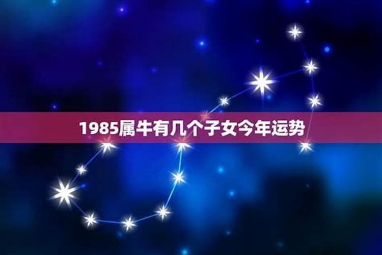 属牛犯太岁什么意思,生肖牛犯太岁是哪些年份