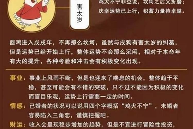 犯凶星和犯太岁哪个比较严重