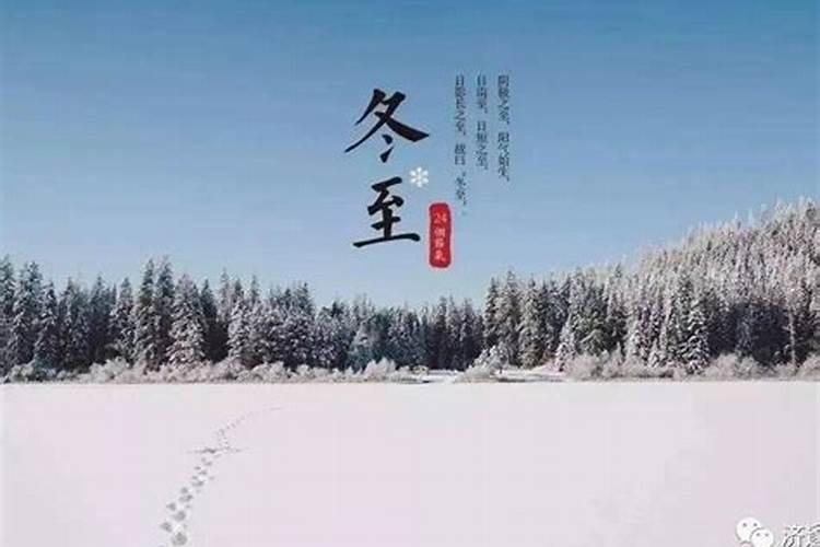 1999年属兔男2025年的运势及运程如何
