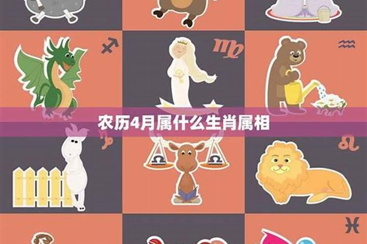 北京那个寺庙可以补财库？