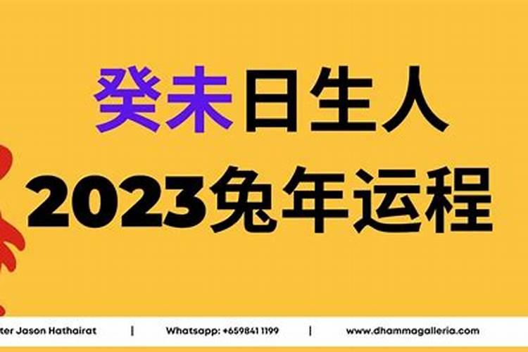 苏州人心心念念的重阳糕上市了!这种糕点是怎么做出来的？