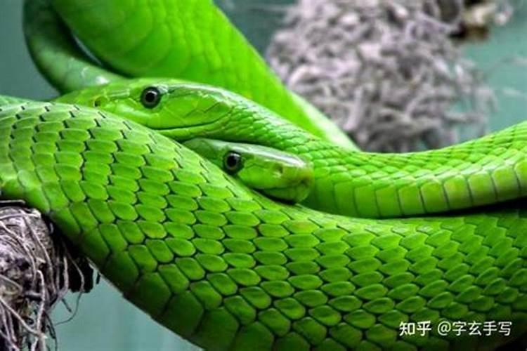 梦见好多人聚集在一起是什么意思