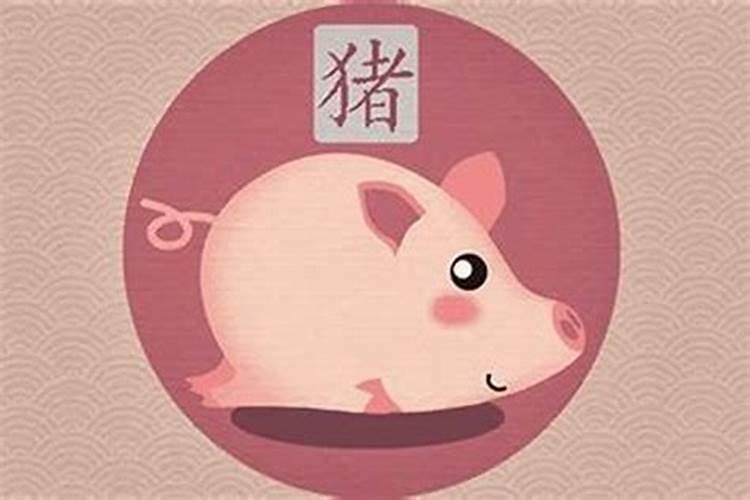 71年猪2025年运势和财运怎么样