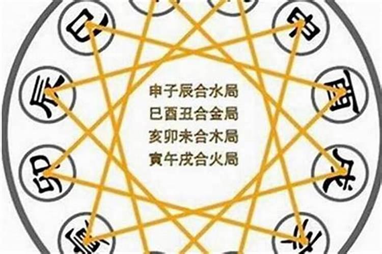 2025年属猪的人的全年运势