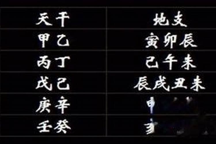 属羊和属狗属相合不合