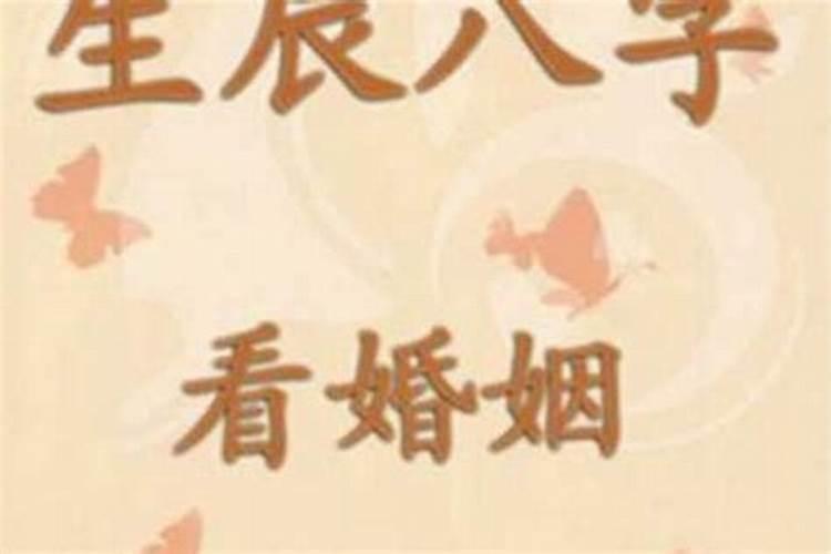 属马人2025年全年运势运程