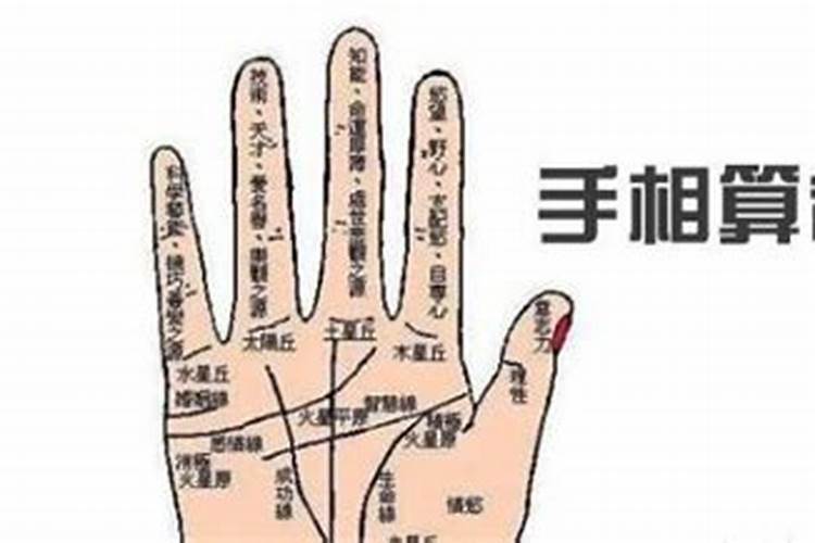 冲太岁怎么化解2025年