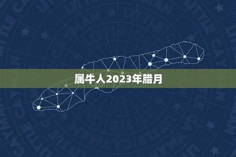 如何自己算自己的财运,怎样去算自己一年的财运？