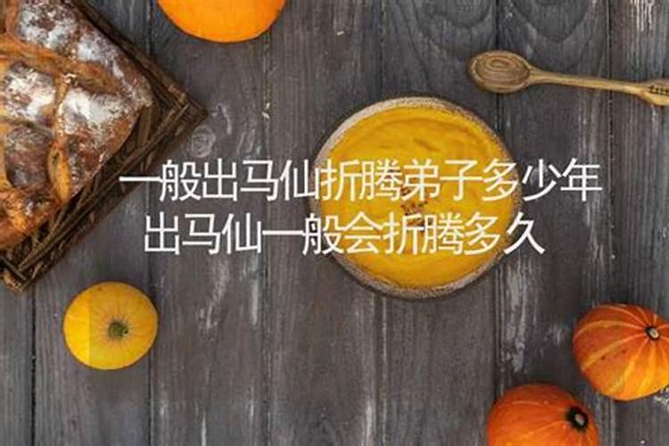 东北人说的出马是什么意思