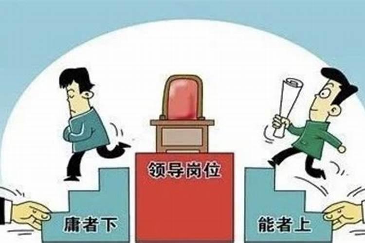 属狗一生命运如何82属狗人的灾难年龄