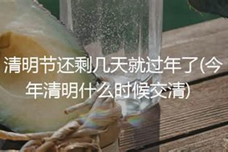 2024年清明节放几天 各地清明习俗