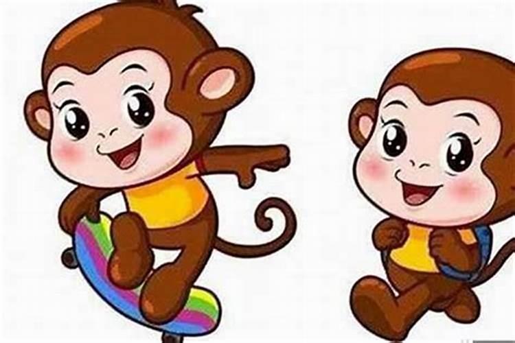 属猴的人一生运程