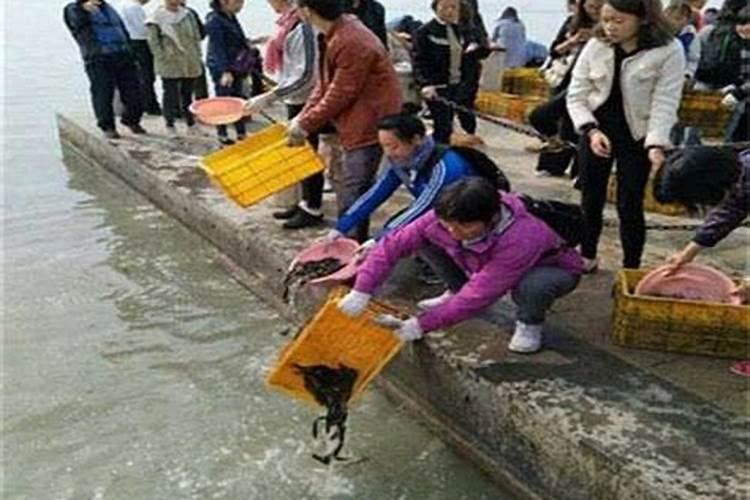 属猴人在2025蛇年运气如何 2025年属猴全年运势