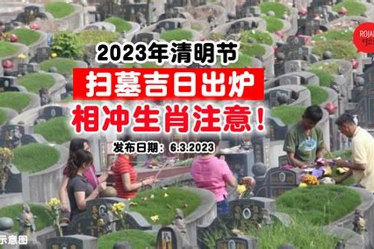 属马人2025年全年运势运程