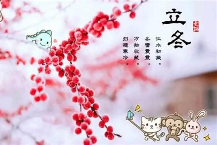 立冬和冬至什么区别