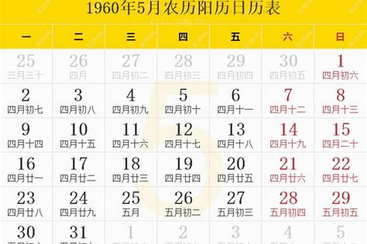 1995年属猪的2024年运势运程每月运程