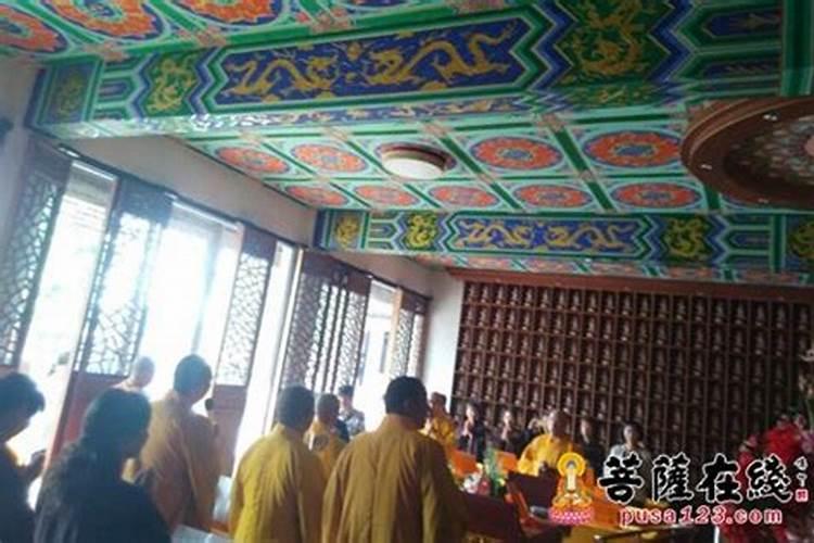 属猪的男和属羊女能不能在一起