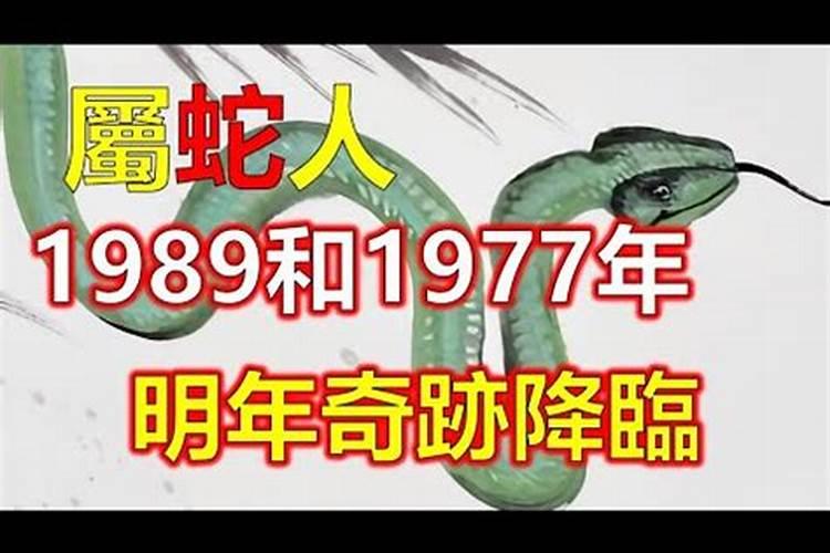 梦见富贵籽