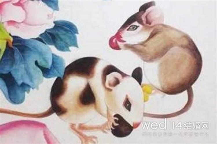 96年属鼠找对象方位 生肖鼠最适配生肖？
