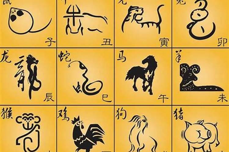 八字丙火喜其生旺,得相位进气蕞好
