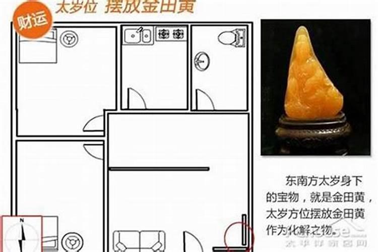 冬至是哪国的节日