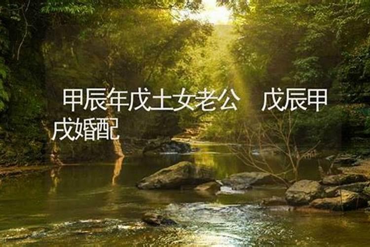 古老的八字婚配结果【(男)戊辰年&(女)甲戌年】: 木火夫妻大吉昌、此门...
