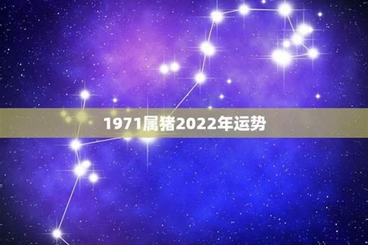 生肖猪1995年2025年运势如何 生肖猪1995年2025年全年运势