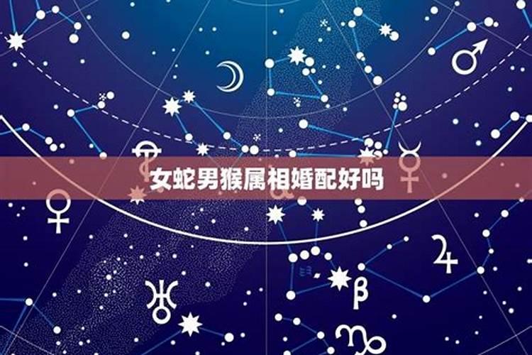 农历1992年十月初一寅时出生的男 人的命运