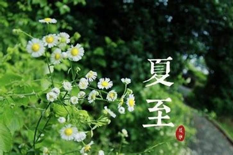 2025蛇年本命年佩戴什么