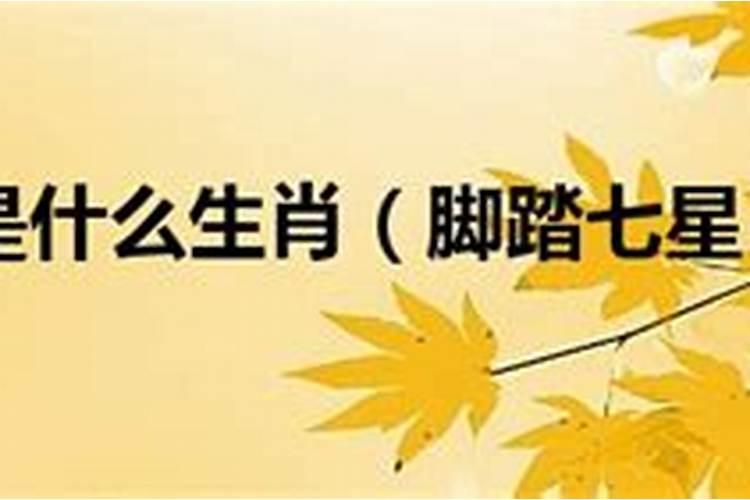 1995年属猪2025年婚姻怎么样