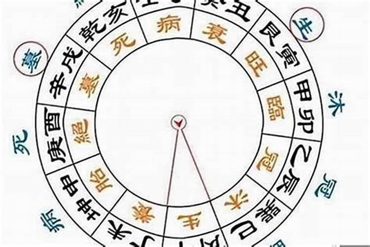 属蛇的生什么属相的宝宝好