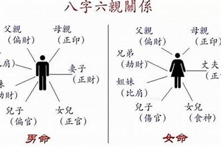 看一个人八字如何定父母个数？