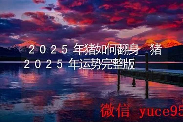 属猪2025年运势及运程详解