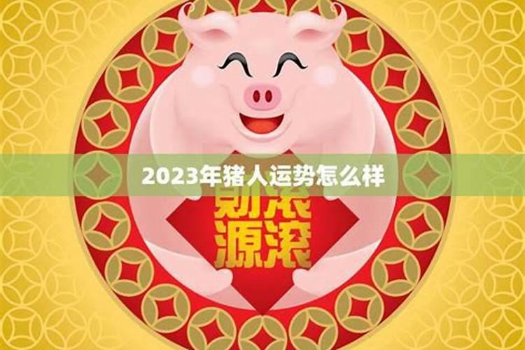 属猪的人2025年运势及运程详解