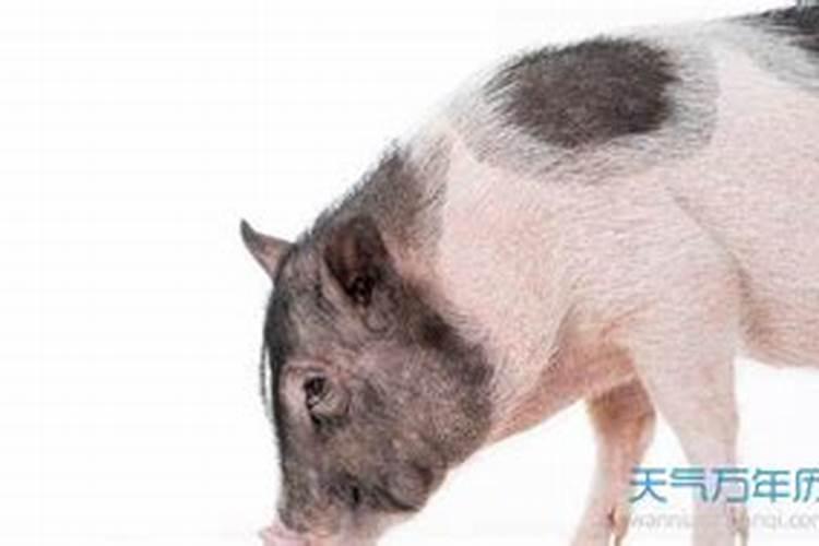 我最近很难过。。男友的父母因为我们的生辰八字不合要求我与他分开...