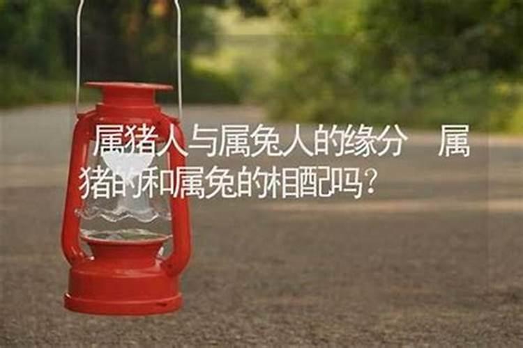 83猪男和99兔女的婚姻怎么样？